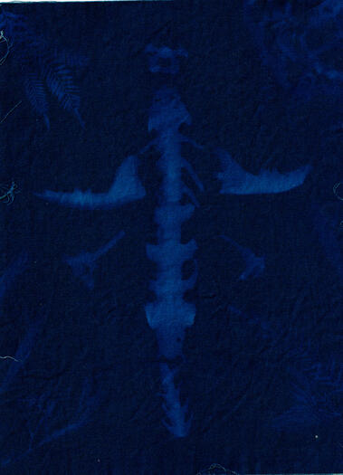&quot;Study 1&quot; Cyanotype on cotton. 8 x 6 inches